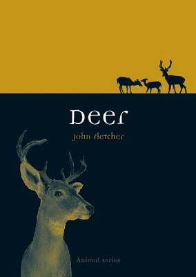 Deer -  Fletcher John Fletcher