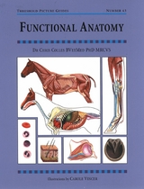 FUNCTIONAL ANATOMY - Chris Colles