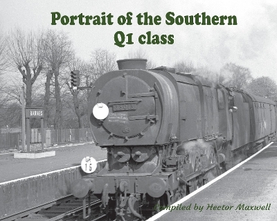 Portrait of the Southern Q1 class - Hector Maxwell