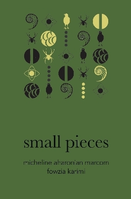 Small Pieces - Micheline Aharonian Marcom