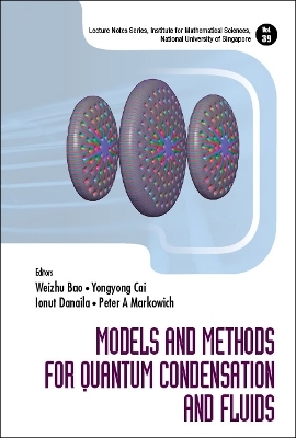 Models And Methods For Quantum Condensation And Fluids - 