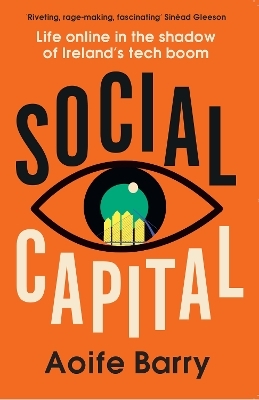 Social Capital - Aoife Barry