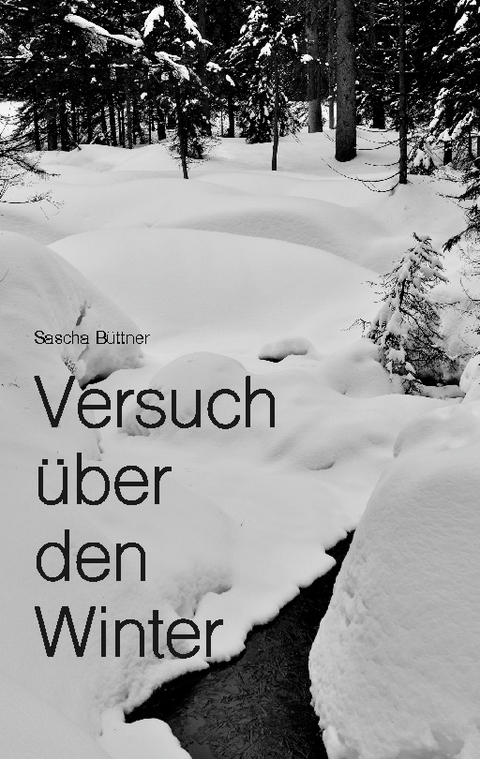 Versuch über den Winter - Sascha Büttner