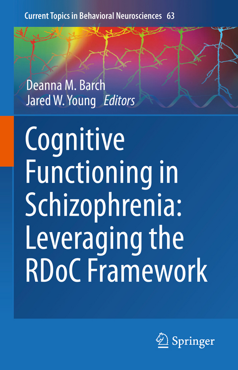 Cognitive Functioning in Schizophrenia: Leveraging the RDoC Framework - 