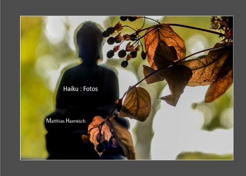 Haiku : Fotos - Matthias Haemisch