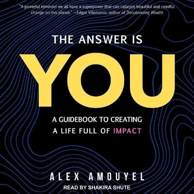 The Answer Is You - Alex Amouyel