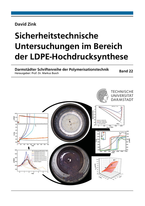 Sicherheitstechnische Untersuchungen im Bereich der LDPE-Hochdrucksynthese - David Zink