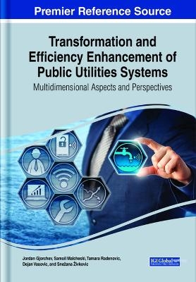 Transformation and Efficiency Enhancement of Public Utilities Systems - 