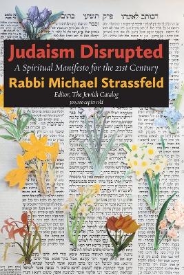 Judaism Disrupted - Michael Strassfeld