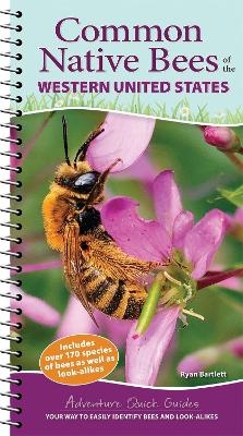 Common Native Bees of the Western United States - Ryan Bartlett