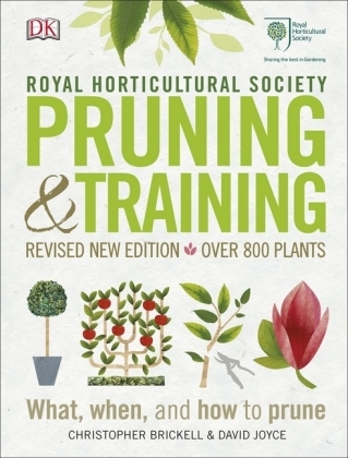 RHS Pruning and Training -  Christopher Brickell,  David Joyce