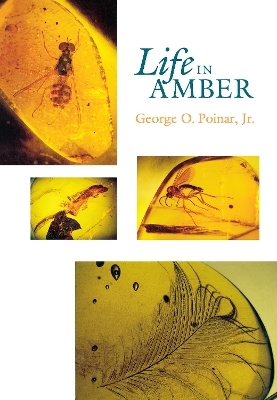 Life in Amber - George O. Poinar  Jr