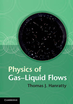 Physics of Gas-Liquid Flows -  Thomas J. Hanratty