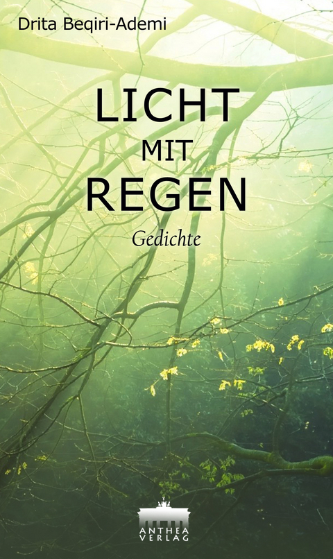 Licht mit Regen - Drita Beqiri-Ademi