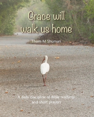 Grace Will Walk Us Home - Thom Shuman