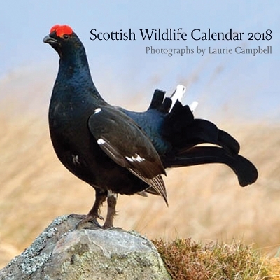 Scottish Wildlife Calendar 2018 - Laurie Campbell