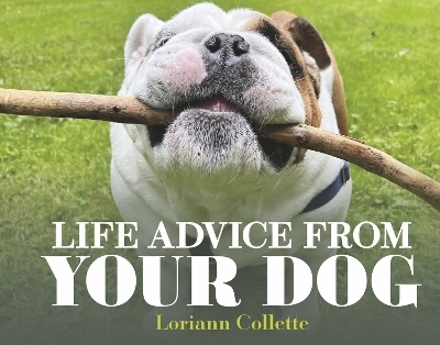 Life Advice From Your Dog - Loriann Collette