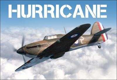 Hurricane -  Bloomsbury Publishing