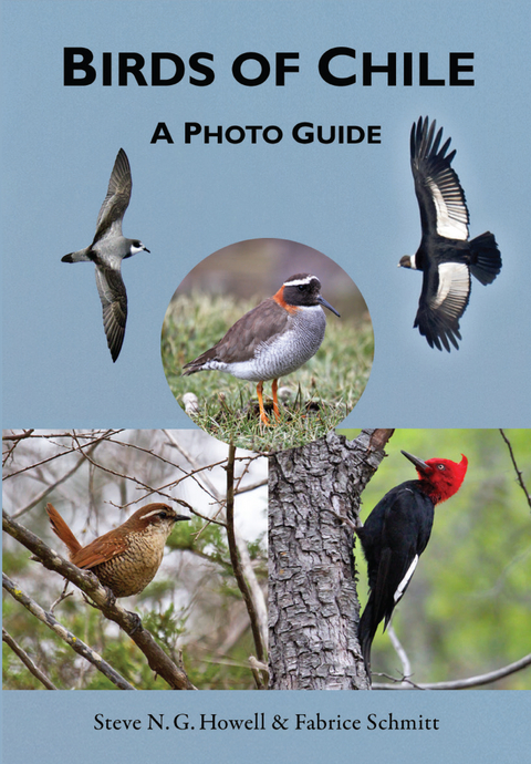 Birds of Chile -  Steve N. G. Howell,  Fabrice Schmitt