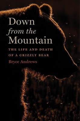 Down from the Mountain - BRYCE ANDREWS