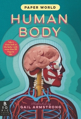 Paper World: Human Body -  The Templar Company Ltd