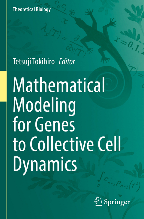 Mathematical Modeling for Genes to Collective Cell Dynamics - 