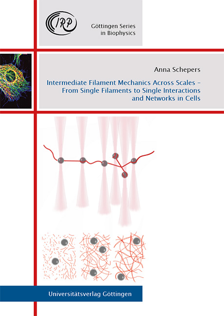 Intermediate Filament Mechanics Across Scales – From Single Filaments to Single Interactions and Networks in Cells - Anna Veronika Schepers