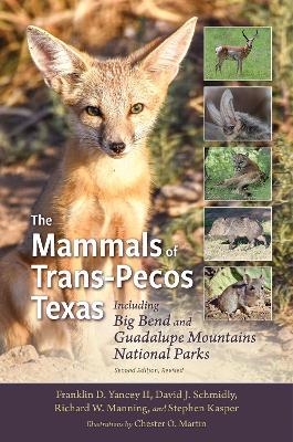 The Mammals of Trans-Pecos Texas - Franklin D. Yancey, David J. Schmidly, Stephen Kasper, Chester O. Martin, Richard W. Manning