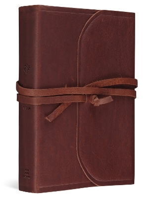 ESV Student Study Bible