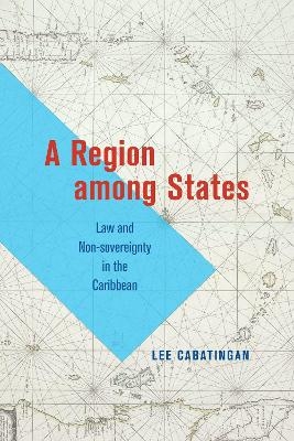 A Region among States - Lee Cabatingan