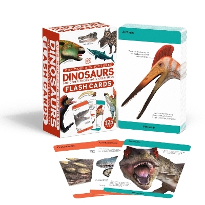 Our World in Pictures Dinosaurs and Other Prehistoric Creatures Flash Cards -  Dk