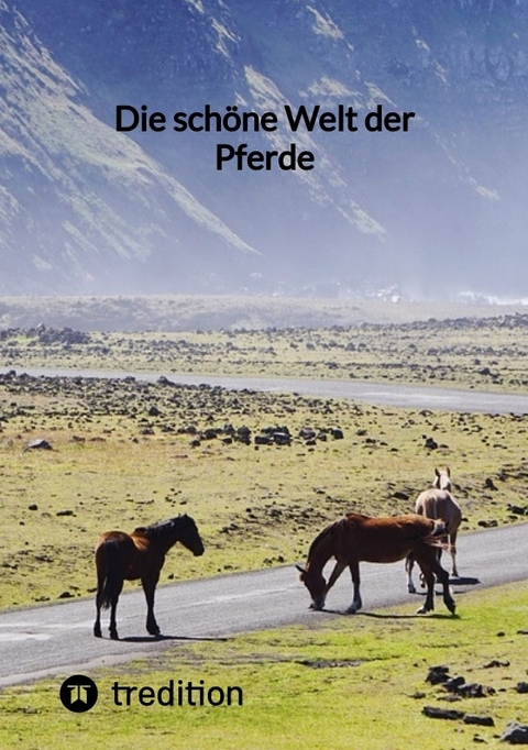 Die schöne Welt der Pferde -  Moritz