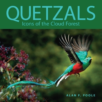 Quetzals - Alan F. Poole