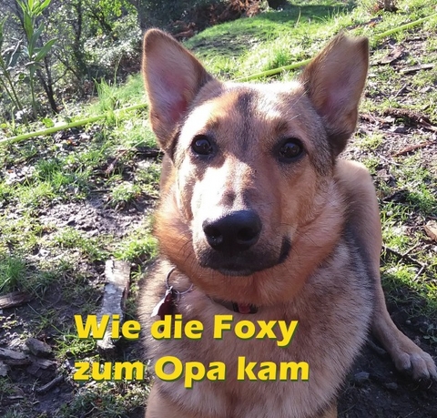 Wie die Foxy zum Opa kam - Peter Laas