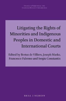 Litigating the Rights of Minorities and Indigenous Peoples in Domestic and International Courts - 