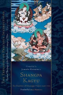 Shangpa Kagyu: The Tradition of Khyungpo Naljor, Part Two - Jamgon Kongtrul Lodro Taye