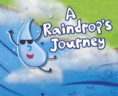 A Raindrop's Journey - Suzanne Slade