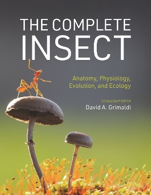 The Complete Insect - 