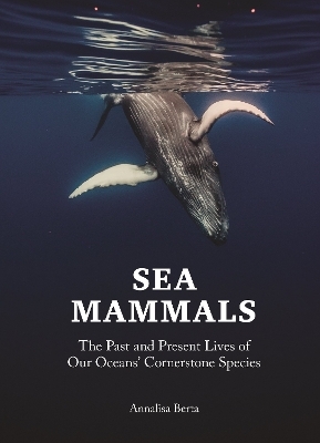 Sea Mammals - Annalisa Berta