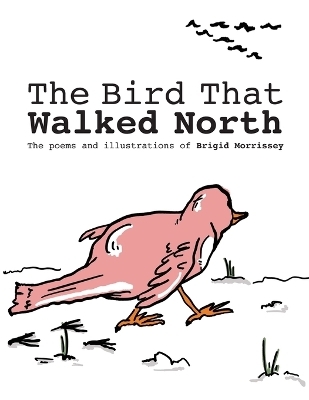 The Bird That Walked North - Brigid Morrissey