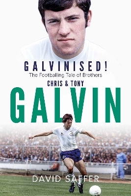 Galvinised - David Saffer