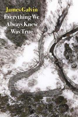 Everything We Always Knew Was True - James Galvin