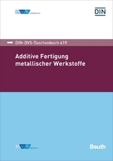 DIN-DVS-Taschenbuch 419