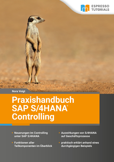 Praxishandbuch SAP S/4HANA Controlling - Nora Voigt