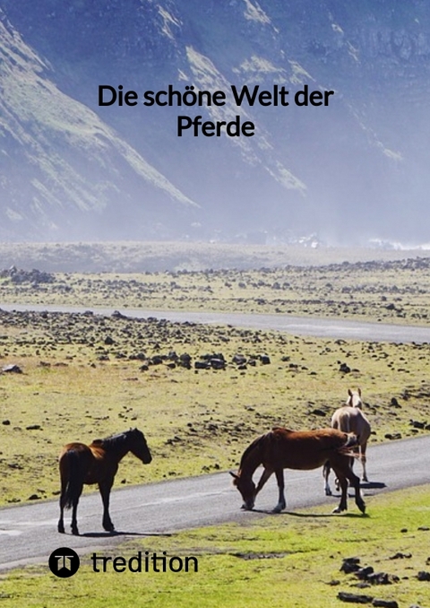 Die schöne Welt der Pferde -  Moritz