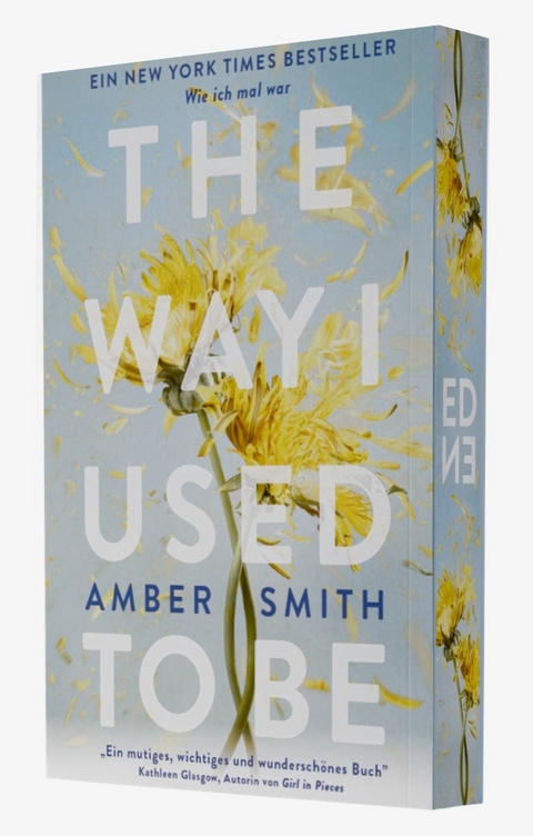 The way I used to be - Amber Smith