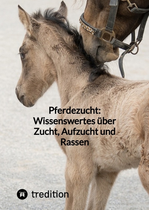 Pferdezucht: Wissenswertes über Zucht, Aufzucht und Rassen -  Moritz