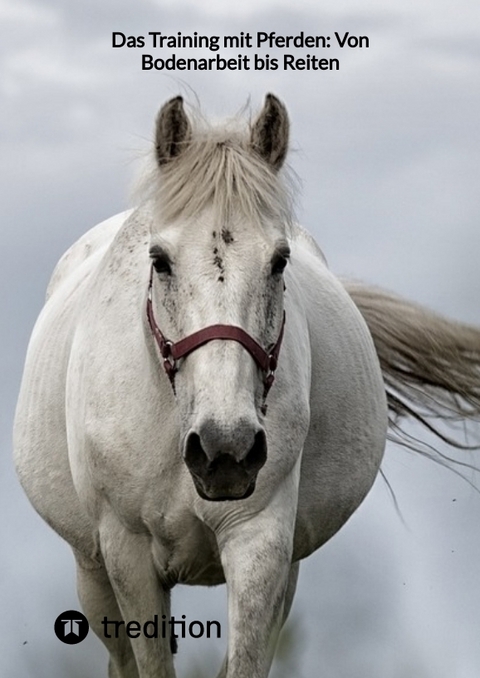 Das Training mit Pferden: Von Bodenarbeit bis Reiten -  Moritz