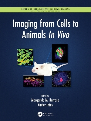 Imaging from Cells to Animals In Vivo - 