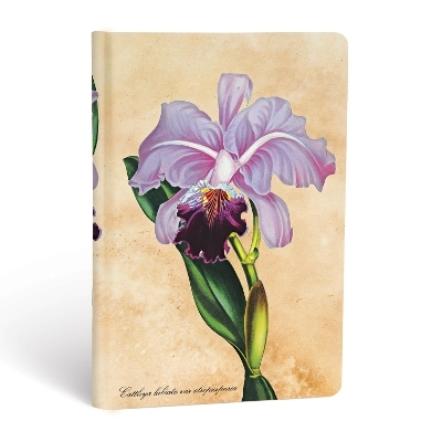 Brazilian Orchid Mini Unlined Hardcover Journal -  Paperblanks